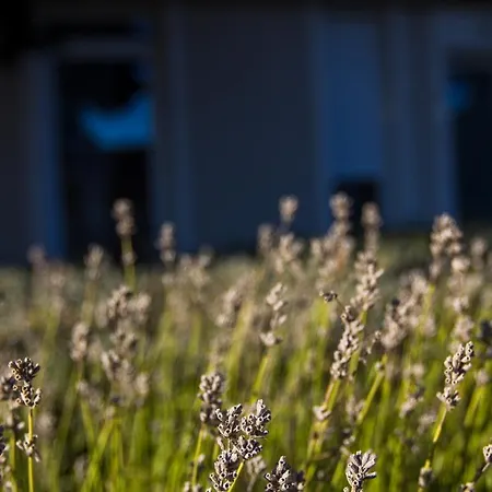 Lägenhet Dioliget *