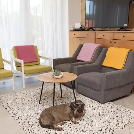Dioliget Apartment