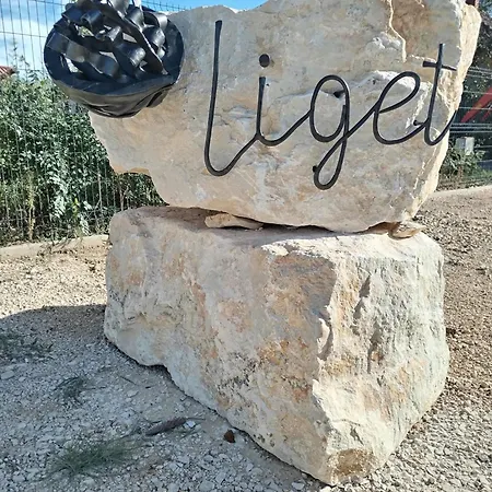 Dioliget