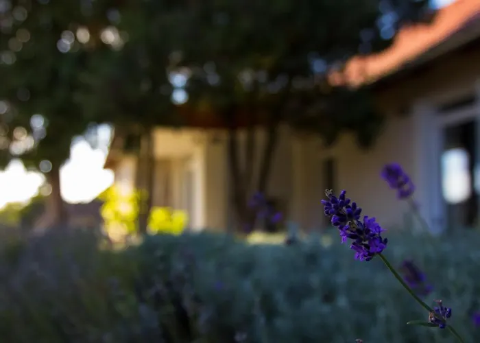 Apartament Dioliget Ohid