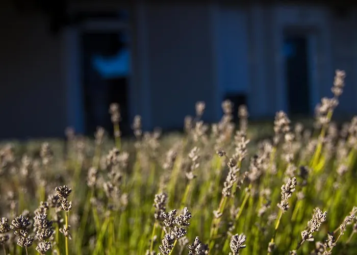 Apartament Dioliget *