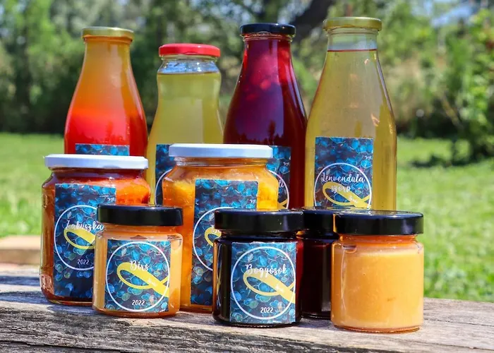 Dioliget Apartament *